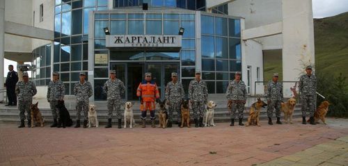 Нохойн хөтөчөөр 10 алба хаагч бэлтгэгдэж, үнэмлэхээ гардан авлаа