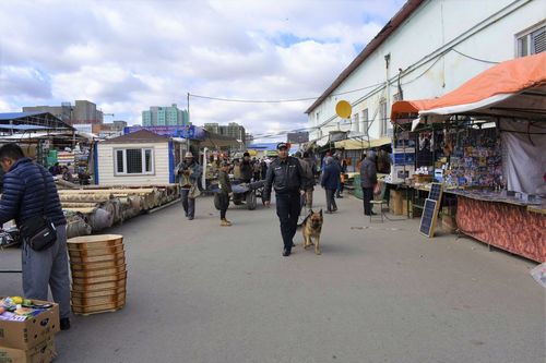 Баянзүрх дүүрэгт нохойт эргүүл үүрэг гүйцэтгэж байна