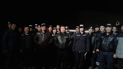 Модонд дүүжлэгдсэн таван настай хүүгийн амийг аварчээ