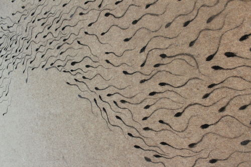 “Гэрэлт морьд” хөтөлбөрийн шилдэг уран бүтээлийн үзэсгэлэн нээгдлээ