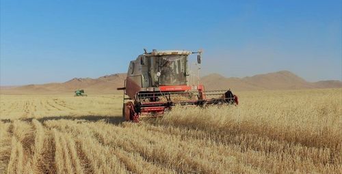 Үр тарианы 90 орчим хувийг хураажээ