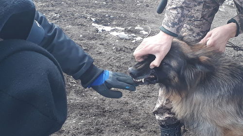 Улсын онцгой обьект хамгаалдаг нохдыг үзлэгт хамруулжээ