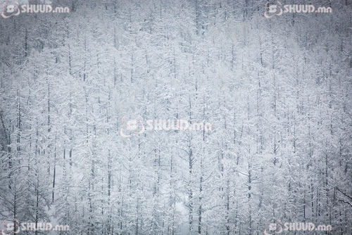 Алга болсон эмэгтэйн цогцсыг уулнаас олжээ