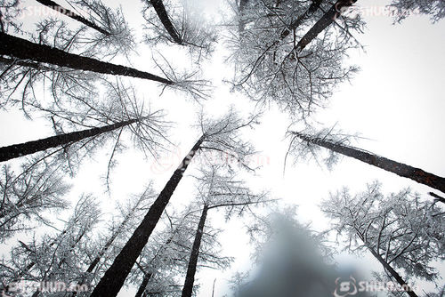 УБ-т зөөлөн салхитай, өдөртөө -8...-10 хэм хүйтэн