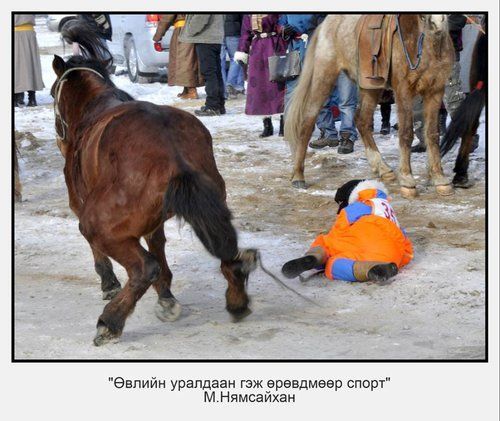 Морь хөлсөлж явсан 10 настай хүүхэд унаж, нас баржээ