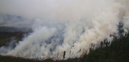 Ой, хээрийн түймрээс сэргийлэх хамтарсан тушаал гаргалаа