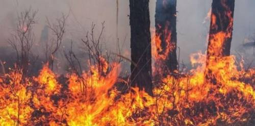 Он гарсаар 89 удаагийн ой, хээрийн түймэр гарчээ