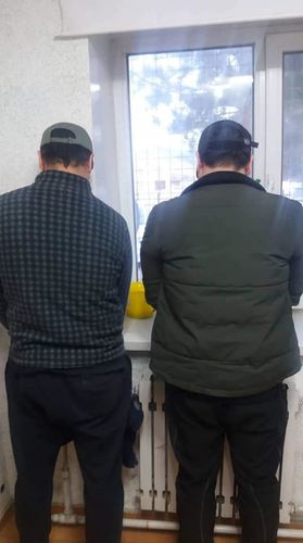 Мансууруулах ургамал түүж, хэрэглэсэн залуусыг саатууллаа