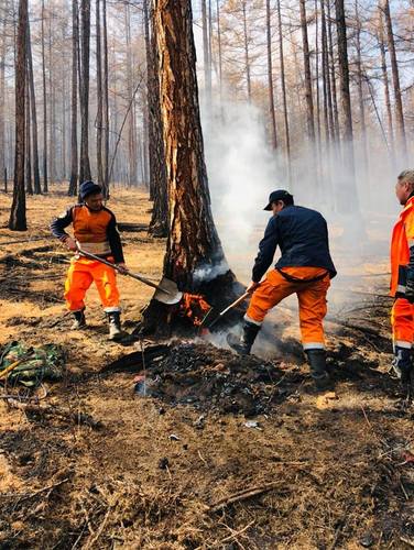 Гал түймрийн тоо 18.3 хувиар өсчээ