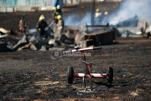 Түймрээс аврагдсан таван бяцхан амь гэргүй хоцров 