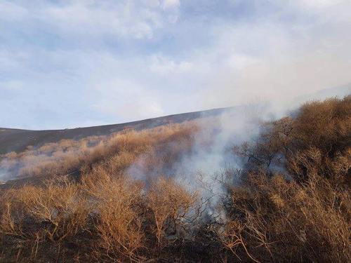 Шилийн Богдод түймэр тавьсан этгээдүүдийг шалгаж байна