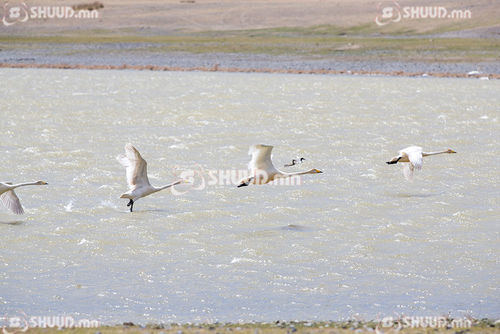 Ихэнх нутгаар хүйтний эрч суларна