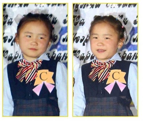 11 настай охин сурагчдын дотуур байрнаасаа гарч яваад сураггүй болжээ