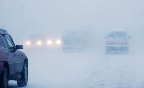 Төөрч осгосон иргэнийг эсэн мэнд аварчээ