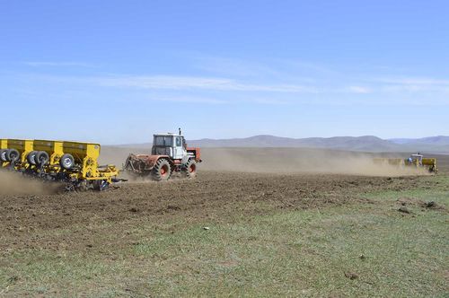 Улаанбуудайн тариалалт дууслаа