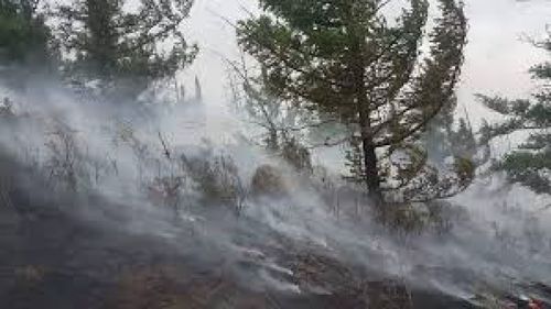 Он гарсаар 91 удаагийн ой, хээрийн түймэр гарлаа