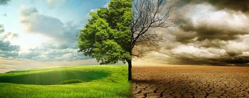 2050 он гэхэд хүн төрөлхтөн “соёл иргэншлийн сүйрэл”-тэй нүүр тулна  