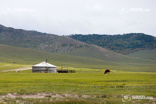 Гэртээ ганцаараа үлдсэн хоёр настай хүү алга болжээ