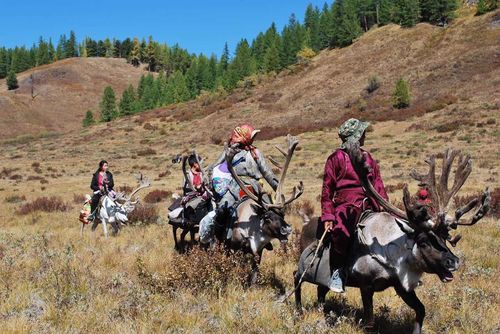 Цаатнууд 2021 оныг дуустал аялагч, жуулчдыг хүлээн авахгүй