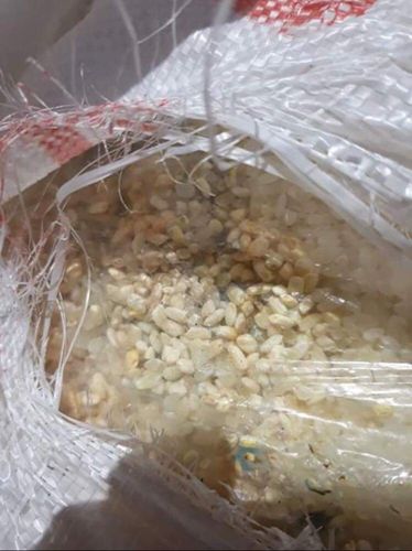 Хөгцөрсөн 60 тонн будааг буцаав