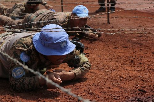 Цэнхэр дуулгатнууд 