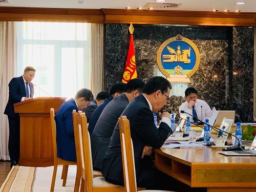 Идлэг шонхор шувууг гадаадад гаргахыг түр хориглоно