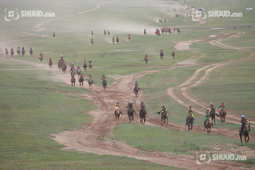 Хязаалан насны морьд гарааны зурхай руу хөдөллөө