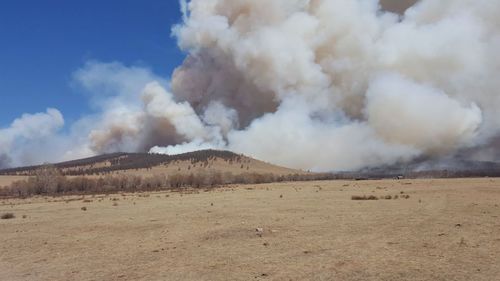 Сэлэнгэ аймагт гарсан түймрийг унтраахаар ажиллаж байна