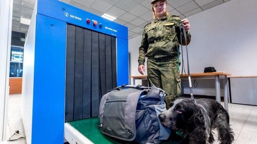 ОХУ: Хилээр тээш нэвтрүүлэх журмыг чангатгана 