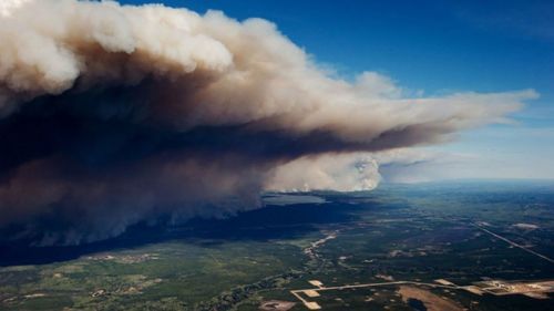 Сибирийн түймэр Монголд орж ирээгүй