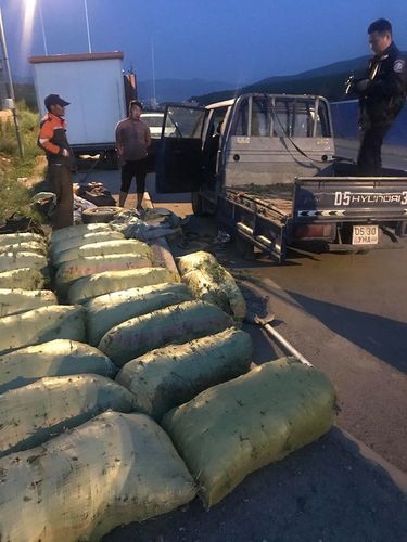 Хууль бусаар ховор ургамал түүсэн зөрчил илрүүлжээ