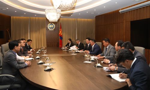 БНСУ-ын  визний хариуг 10 хоногт авдаг болно