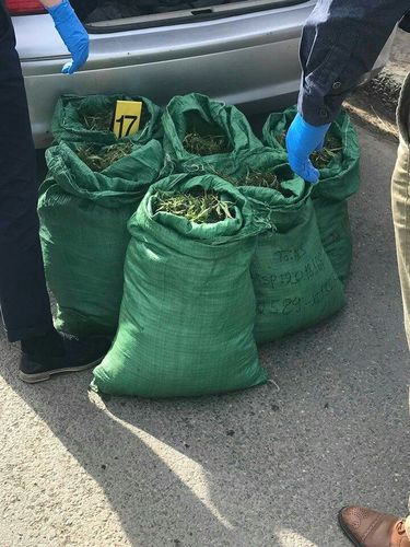 Нийслэл рүү 36.5 кг сэтгэцэд нөлөөлөх ургамал нэвтрүүлэхийг завджээ