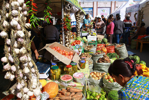 Хүнсний ногооны тонн тутамд 100 мянган төгрөгийн мөнгөн урамшуулал олгоно