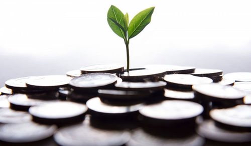 Баялгийн сан бол Үндсэн хуулийн өөрчлөлтийн гялайх ганц заалт