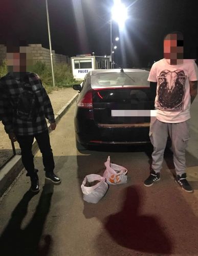 Сэтгэцэд нөлөөлөх ургамал тээвэрлэсэн залуусыг шалгаж байна