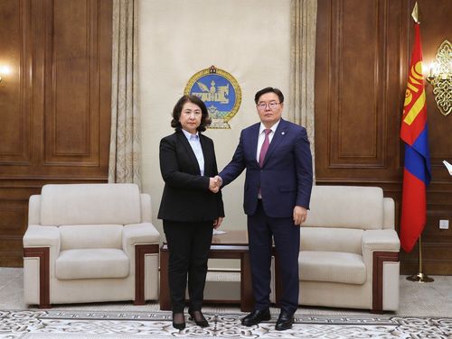 Зарим иргэдийн тэтгэврийн хэмжээг нэмэгдүүлэх хуулийн төсөл өргөн барилаа