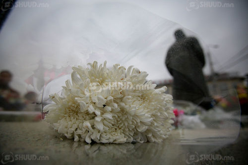 Цэцэгнээс өөрцгүй бас нэг намар