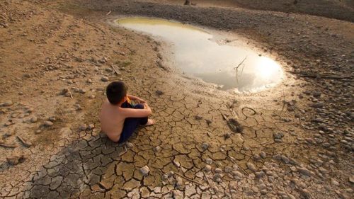 National Geographic: Хүн төрөлхтөн 30 жилийн дараа хүнс, усны хомсдолтой нүүр тулна