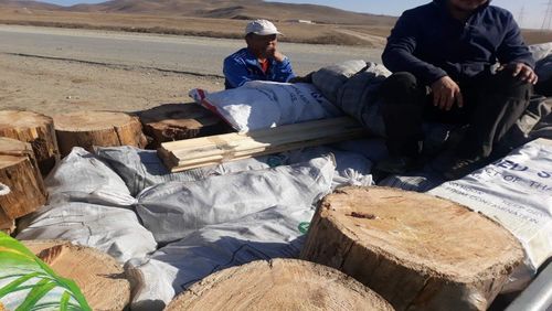 Улаанбаатар хотруу 4150 тонн түүхий нүүрс нэвтрүүлэхийг завджээ