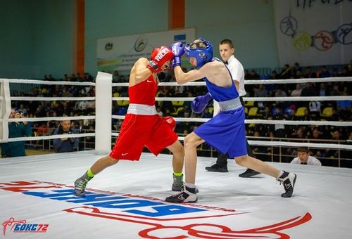 Азийн залуу боксчид Улаанбаатарт чуулна
