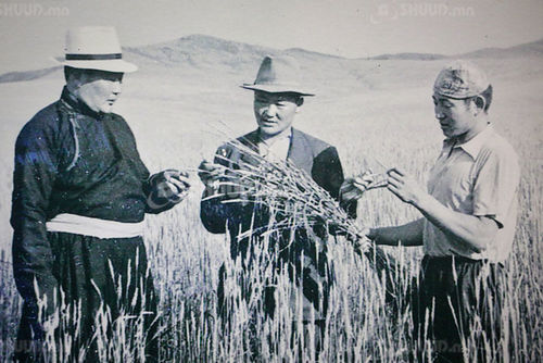 ФОТО: Гэрэл зургийн хальсанд буусан “Атар 60”