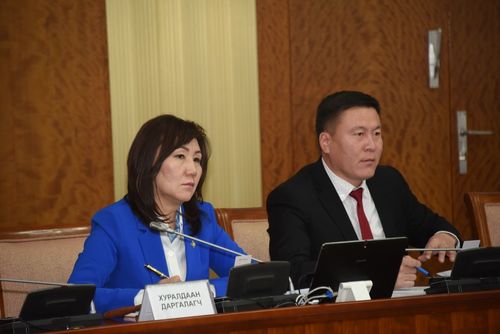 1072 хувьцааг эзэмшигчдэд 2019 оны цэвэр ашгаас ногдол ашиг хуваарилах асуудлыг судлахт чиглэл өглөө