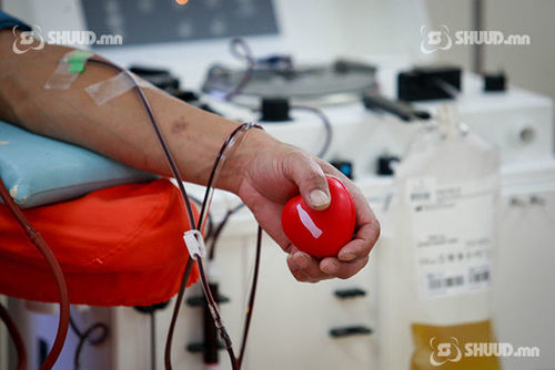 Доноруудын нас залуужиж, залуус цусаа хандивладаг болжээ