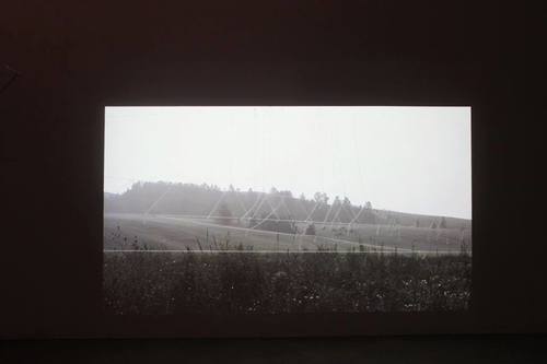 “Бүтээлийн нуруу” үзэсгэлэн нээлтээ хийлээ