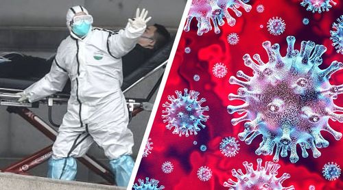 ДЭМБ: Дэлхийн хүн амын 2/3 нь шинэ төрлийн титэм вирусээр халдварлаж болзошгүй