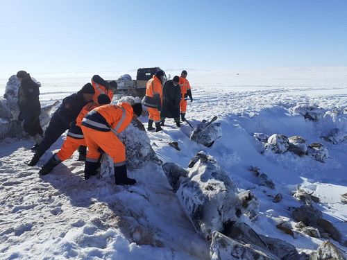 Согтуурсан үедээ хадан хясаанаас үсрэх гэж байсан иргэнийг эсэн мэнд буулгажээ