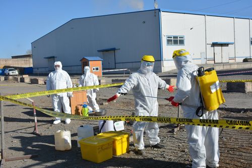 Европын орнуудаас дамжин тээвэрлэсэн ачаа тээврийг өндөр хяналттай нэвтрүүлж байна