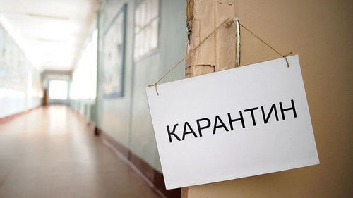 Оросын биологич: Хөл хорио тахлыг давахад тусална