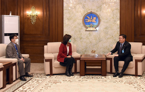 Эрүүл мэндийн сайд Д.Сарангэрэл хуулийн төслүүд өргөн барилаа